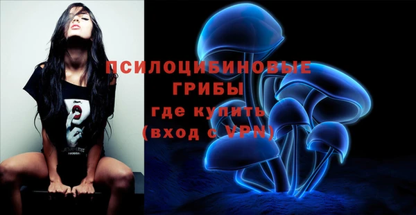 mdpv Беломорск