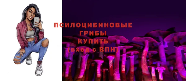 spice Баксан