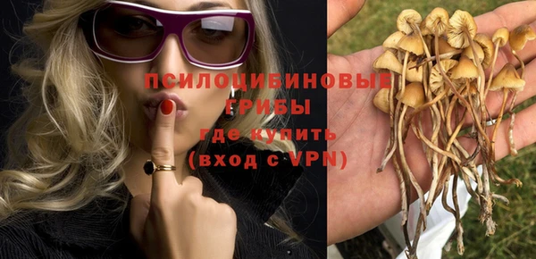 соль курить ск Белокуриха