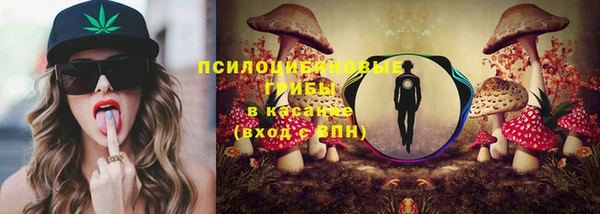 соль курить ск Белокуриха