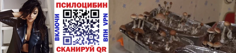 цены наркотик  Великие Луки  Галлюциногенные грибы прущие грибы 